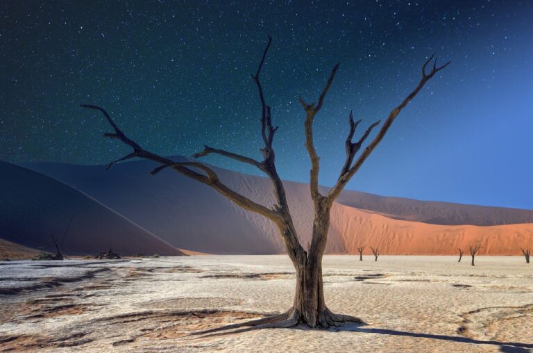 namibia, deadvlei, panorama-4820682.jpg